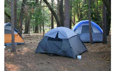 three tents in the woods surrounded by trees