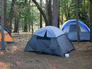 three tents in the woods surrounded by trees