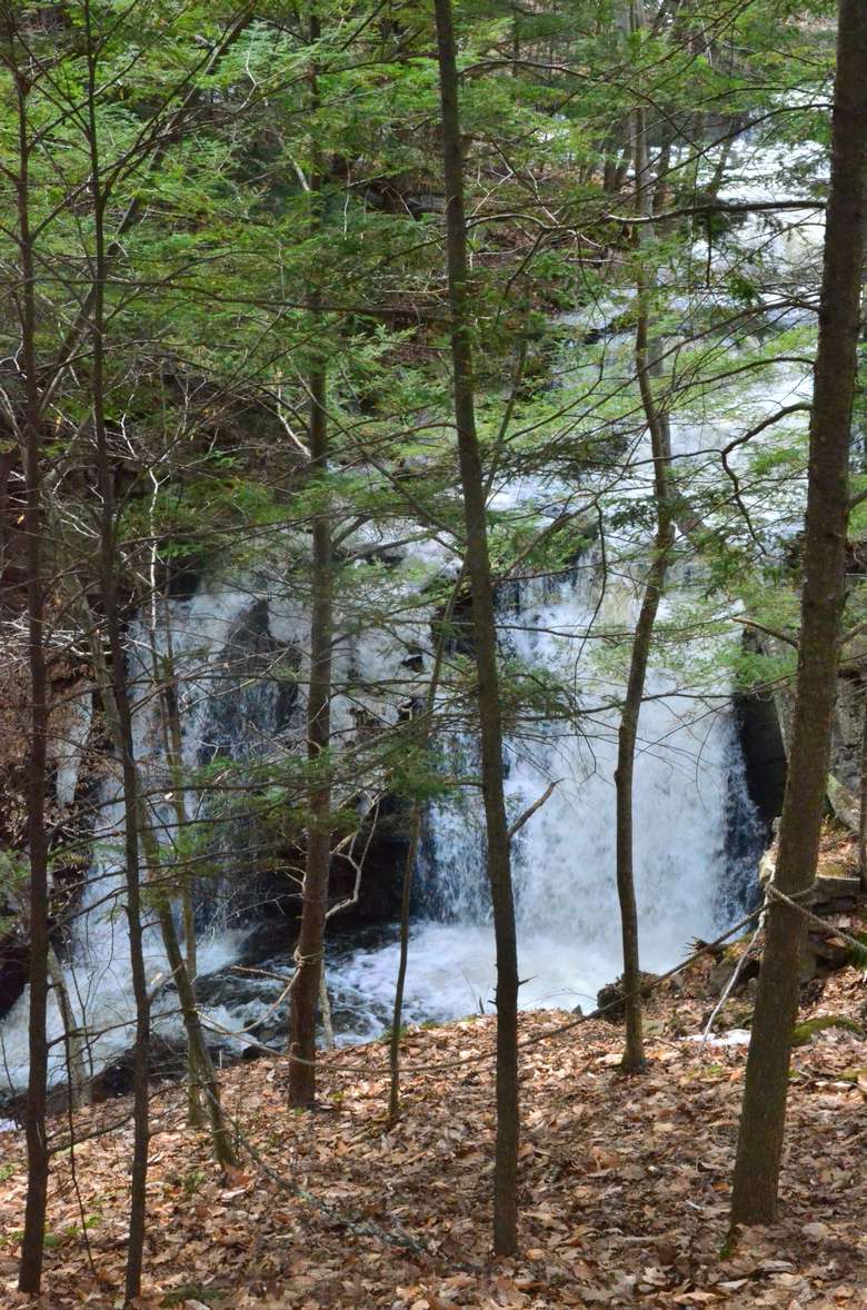 waterfall seen behind small trees