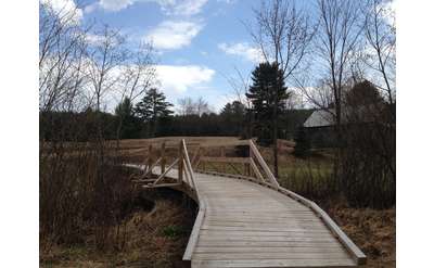 handicap-accessible wooden bridge crossing a creek