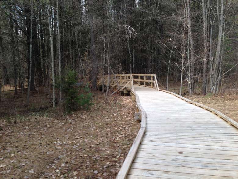 handicap-accessible wooden trail and bridge through the woods