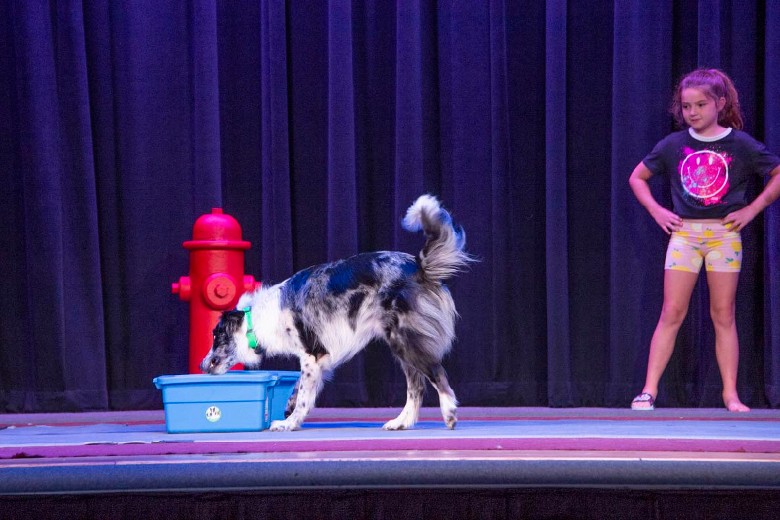 First rate entertainment at the French Mountain Playhouse