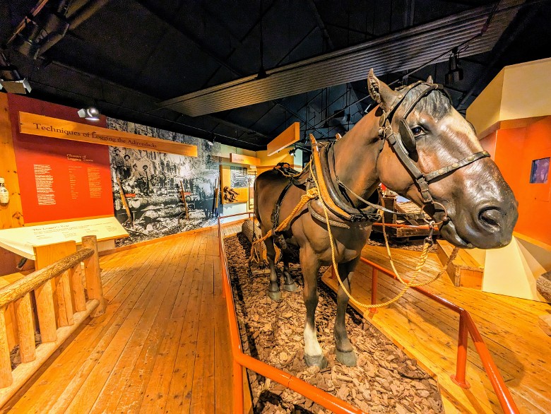 horse in logging exhibition