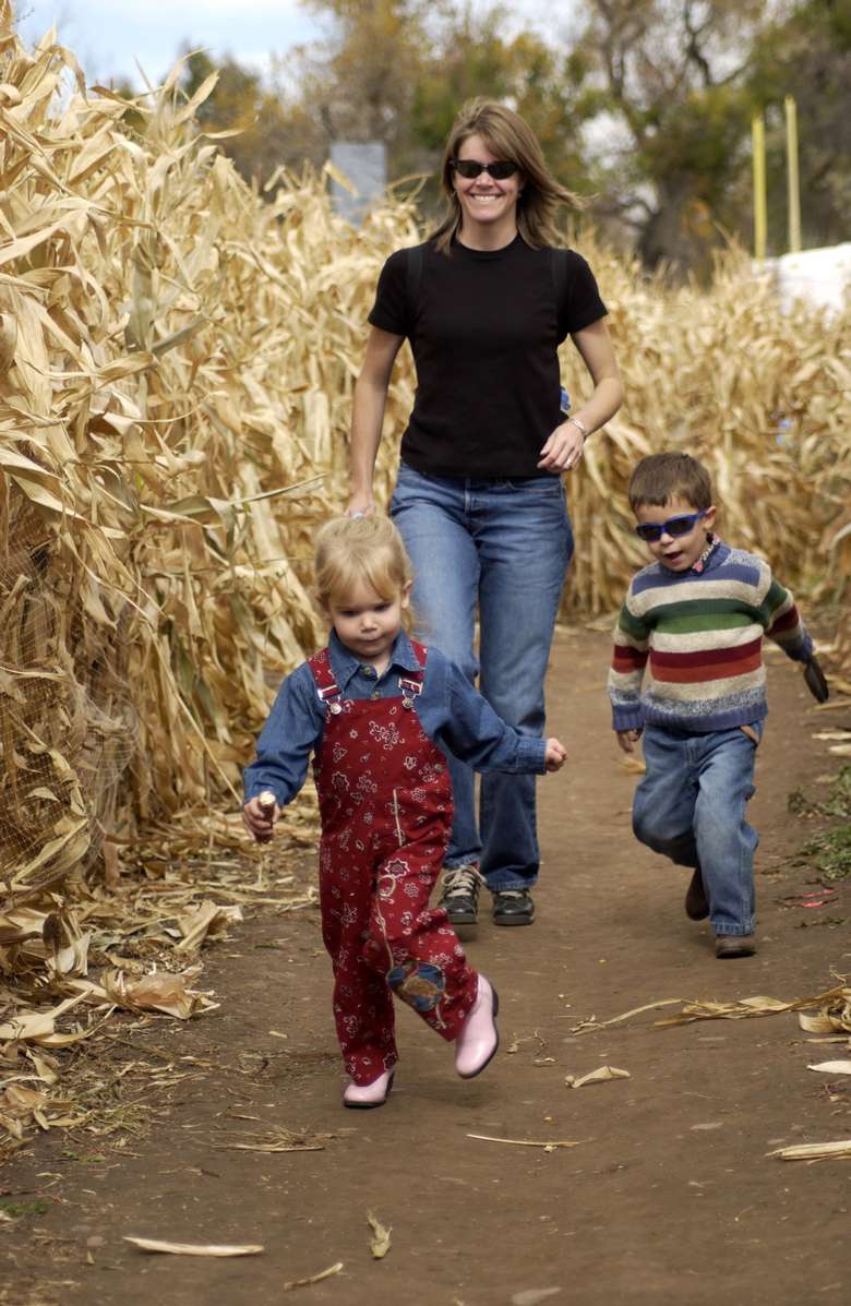 woman walking through corn field with boy and girl