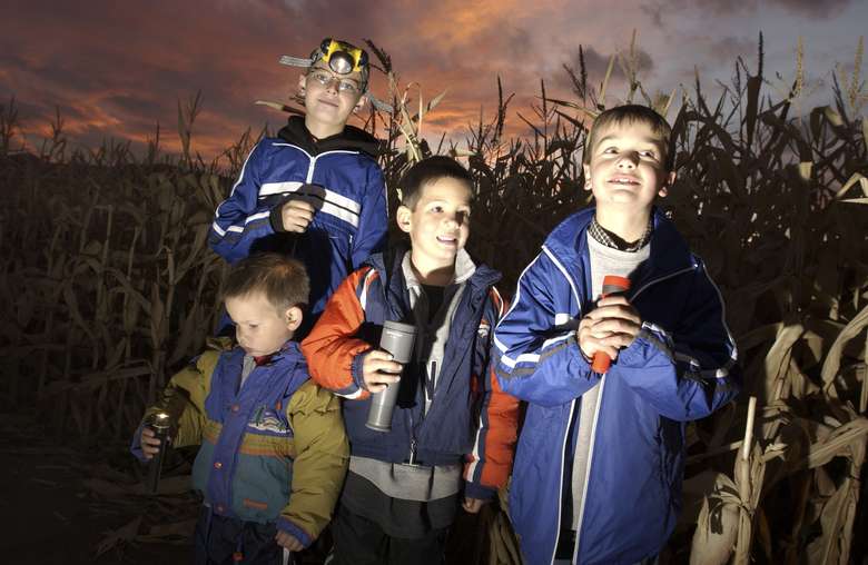boys with flashlights in a corn maze at night