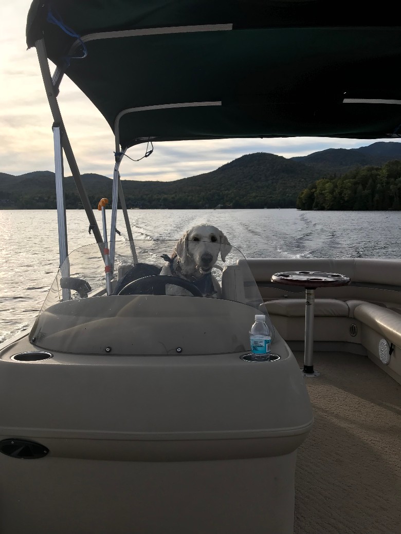 Captain Arlo