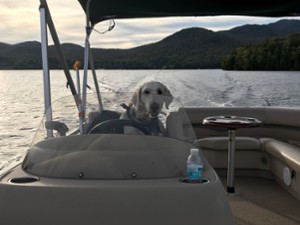 Captain Arlo