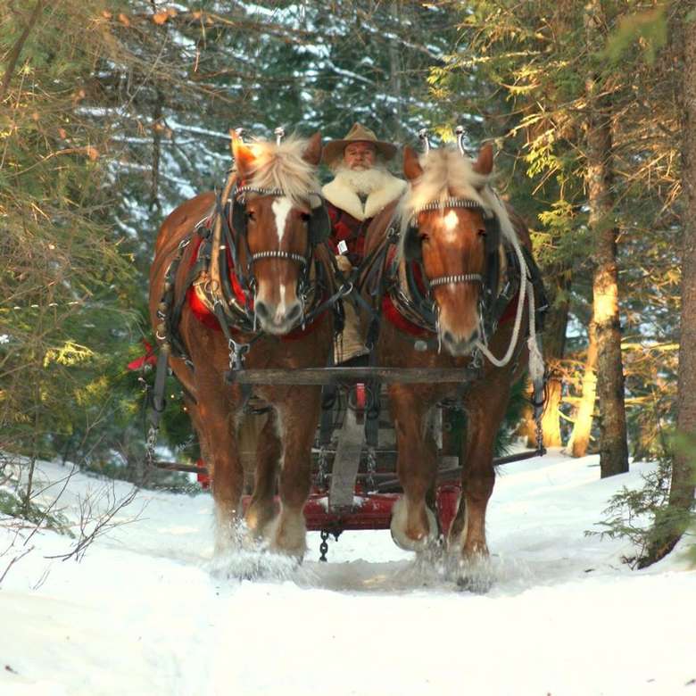 a horse-drawn sleigh making its way down a trail