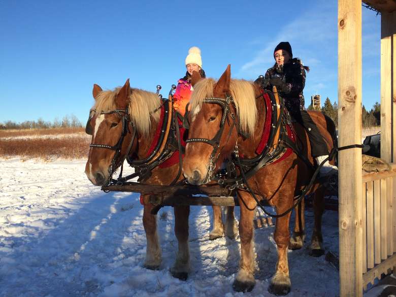 two people on horses connected to a sleigh