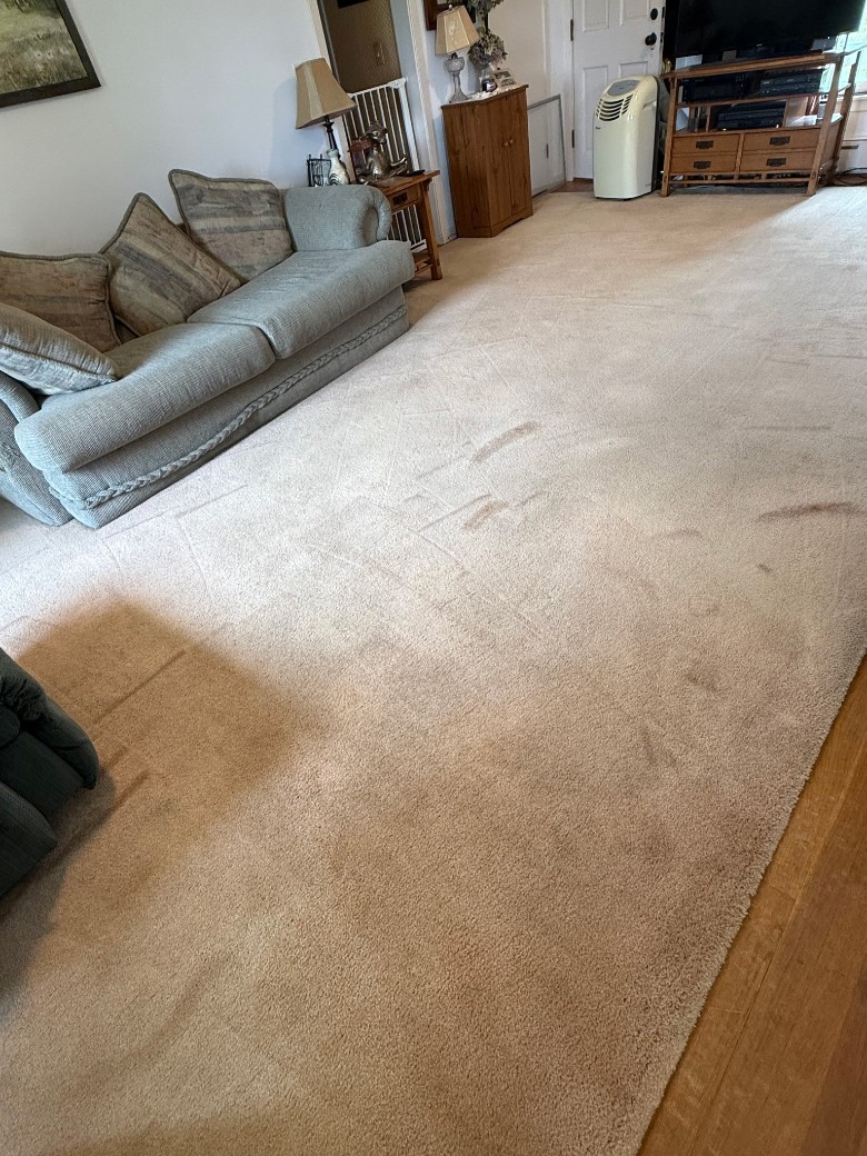 after steam cleaned picture of blood stains