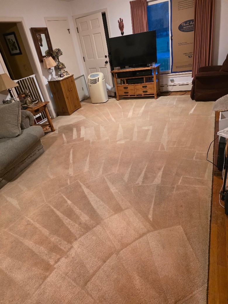 (blood stains)after steam cleaning