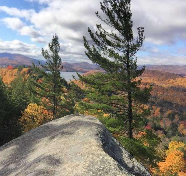 pine trees at the summit of a mountain in the fall