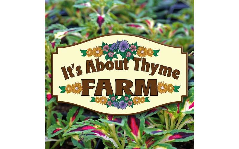 It's About Thyme Farm Garden Center, Nursery & Fall Fun in