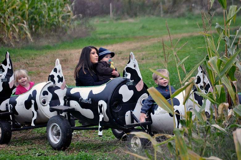 parents and kids riding in a train decorated to look like cows