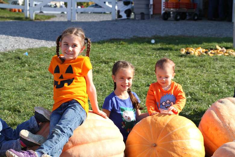 three kids sitting on pumpkins