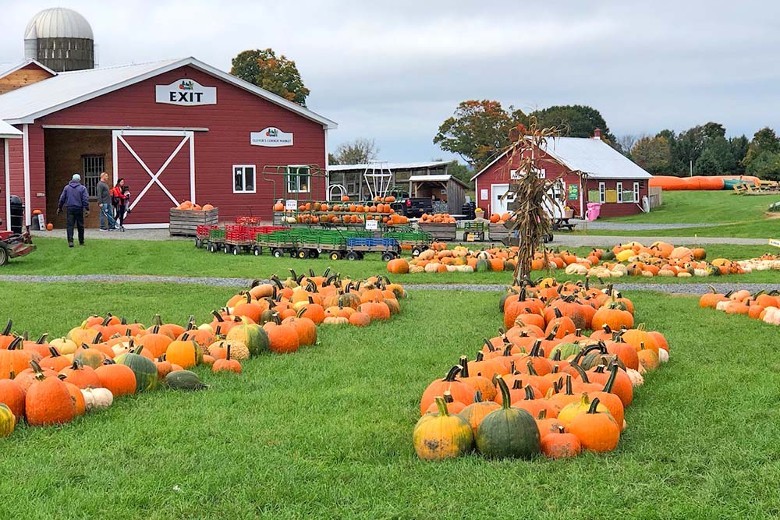 pumpkins by farm buildings