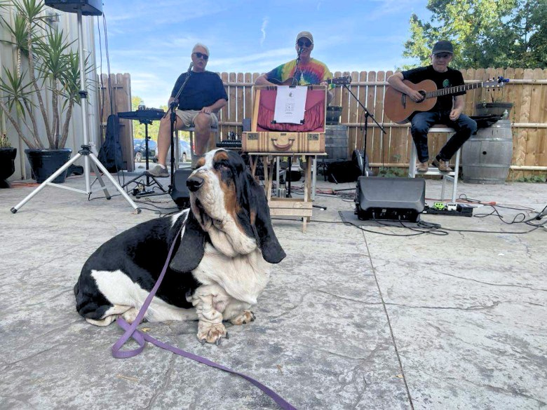Dog friendly outdoor dining with live music at Artisanal Brew Works restaurant in Saratoga Springs NY
