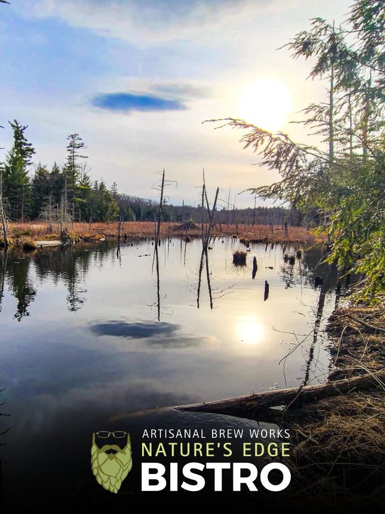 Scenic view from a short hike off the Nature&rsquo;s Edge Terrace at Artisanal Brew Works in Saratoga Springs, featuring forest trails and nearby outdoor dining.