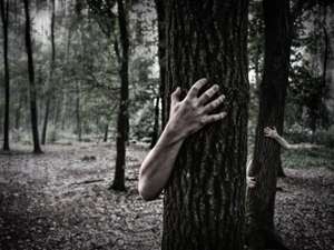 creepy hands behind trees