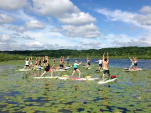 group of people doing sup yoga in a patch of lily pads