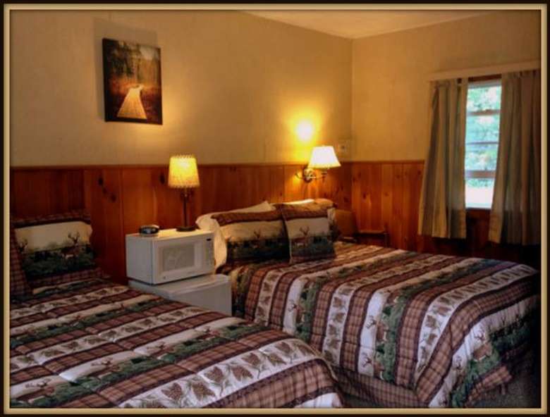 two beds with striped bedspreads in a room with wood paneling half-way up the walls