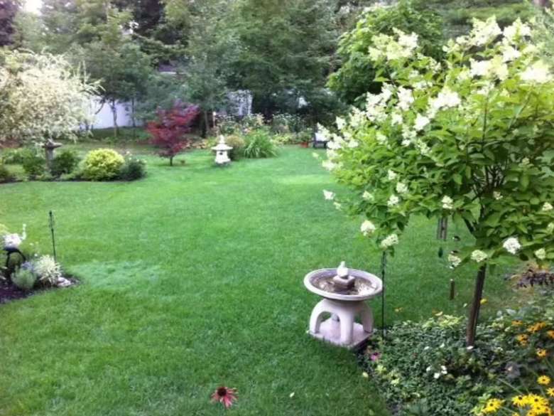 well-manicured yard with plants, trees, and a bird bath