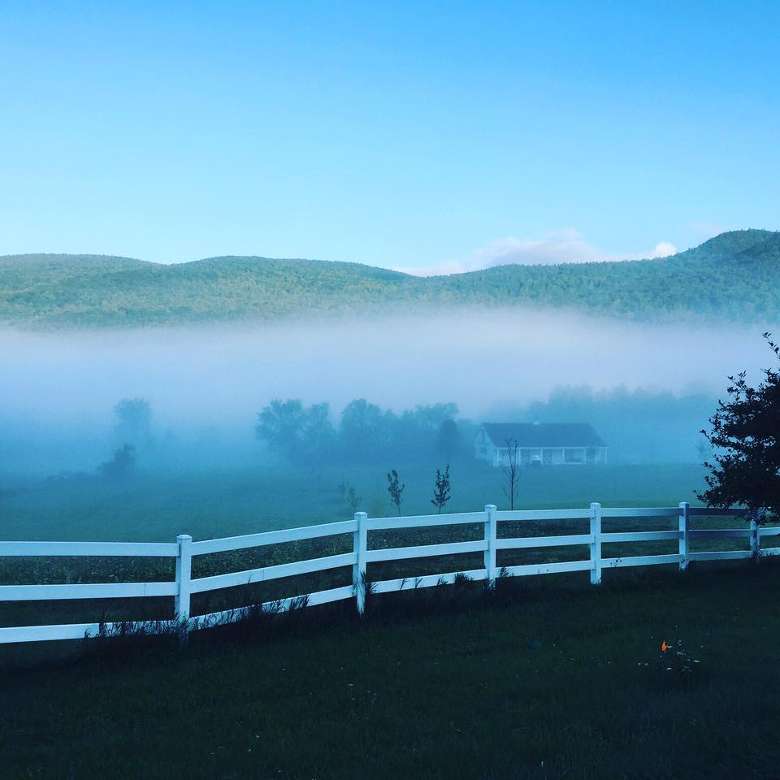white fence dividing green farmland on a foggy morning