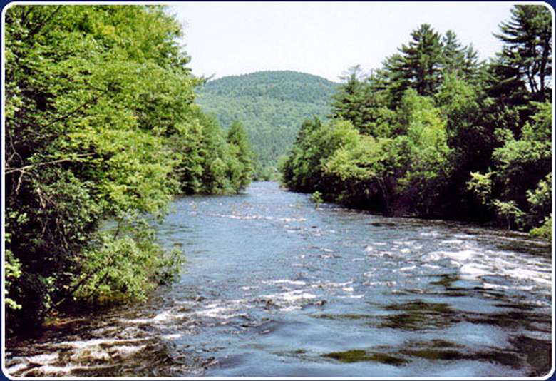 view of river and trees