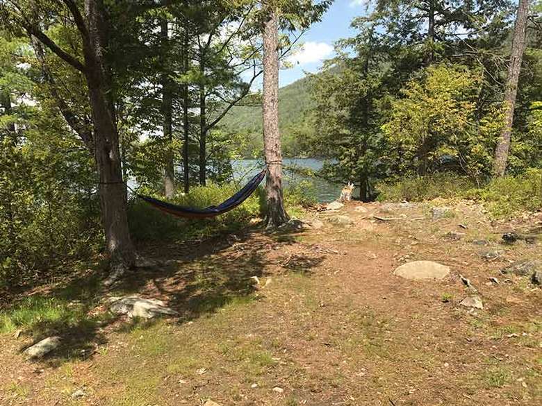 Hammock setup between two trees at Campsite #1 on Agnes Island