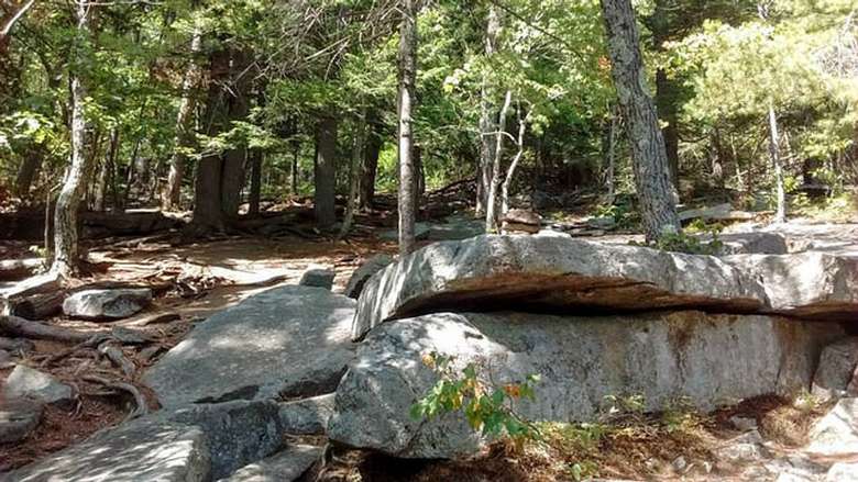 a large rock along a trail in the woods