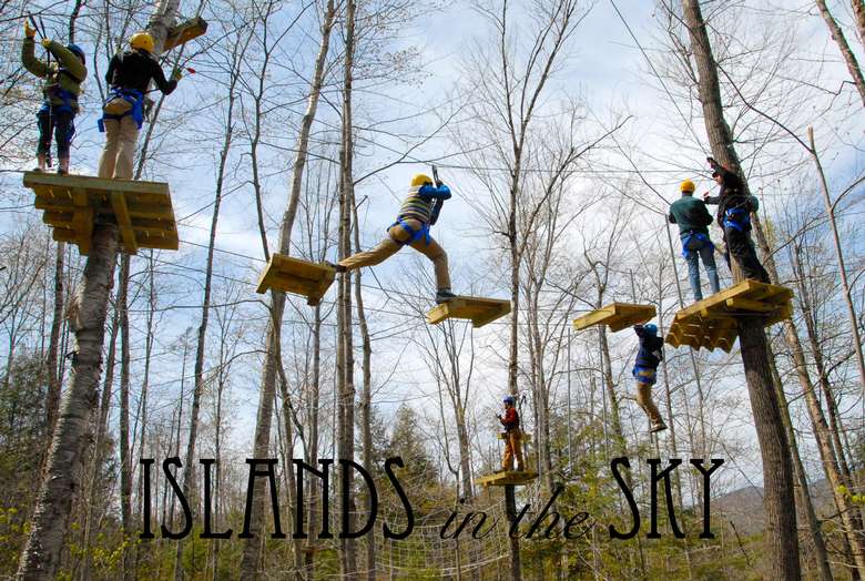 people maneuvering through an aerial course in the trees