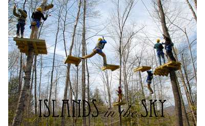 people maneuvering through an aerial course in the trees