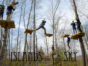 people maneuvering through an aerial course in the trees