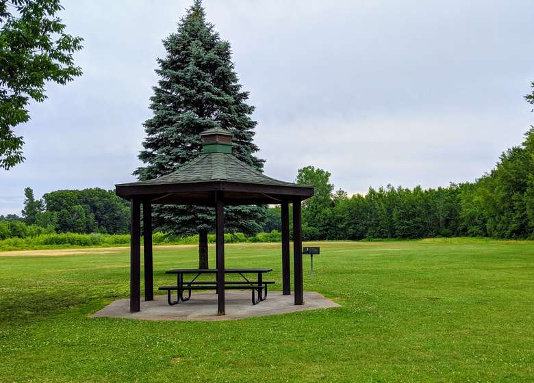 picnic table under small gazebo and grill