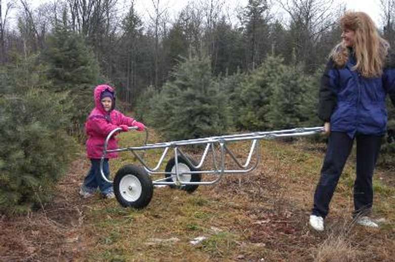 a girl and a woman moving a tree carrying cart