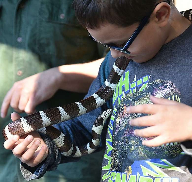 little boy holding a snake