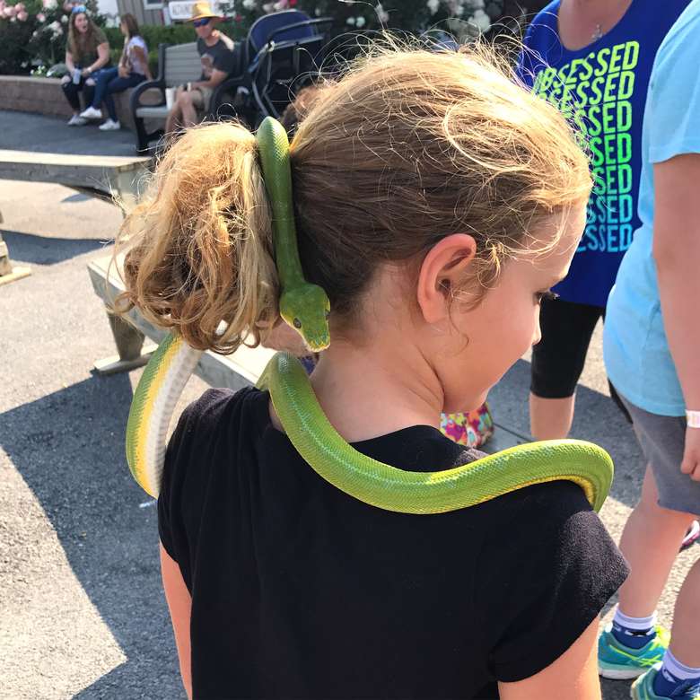 little girl with green snake wrapping itself in her hair