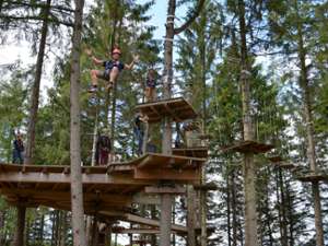 people moving around on wooden platforms on a treetop course