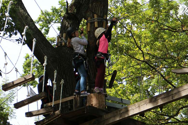 young kids moving on a ropes course
