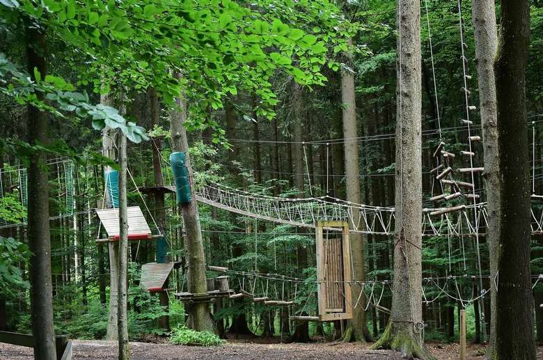 rope bridges and platforms spread across a forest canopy