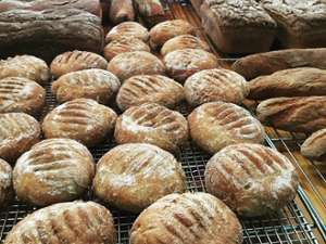 an assortment of rolls and bread