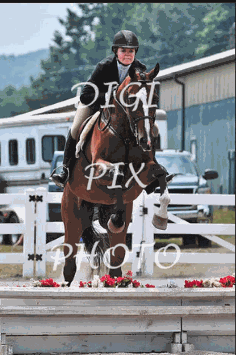 Horse Riding Instruction & Judging Services by Whitney Mulqueen in