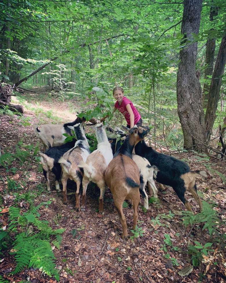 Wild Walk with Goats year round for all ages and abilities