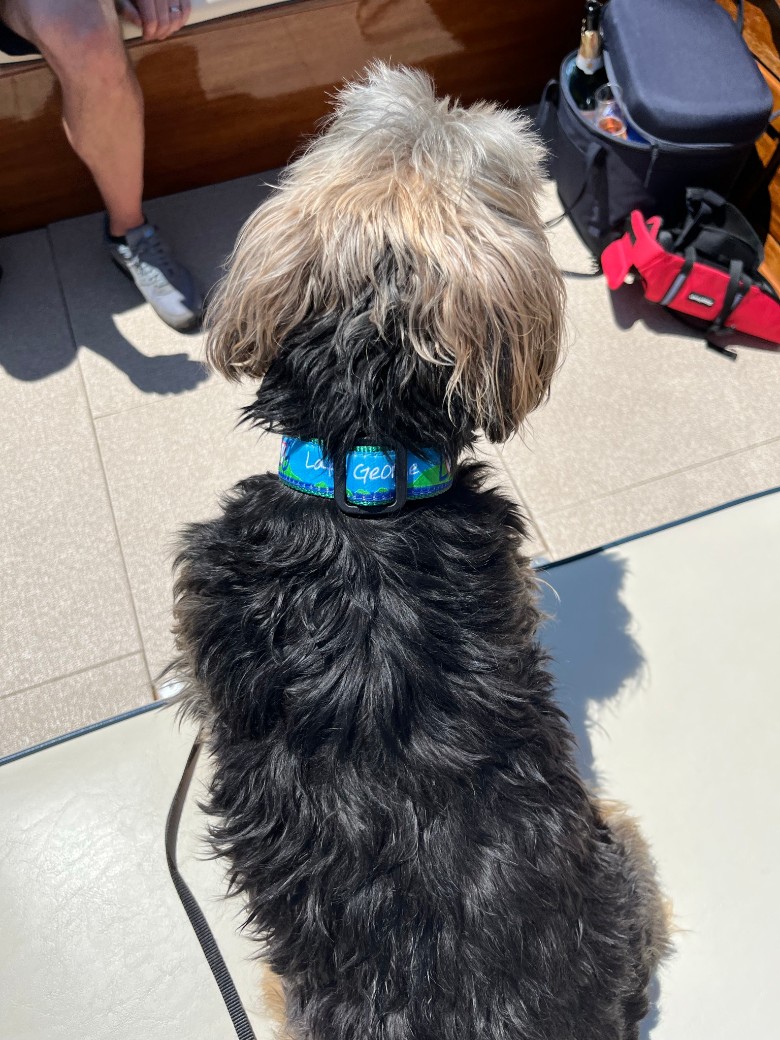 Lake George themed dog collar on a blue ribbon.