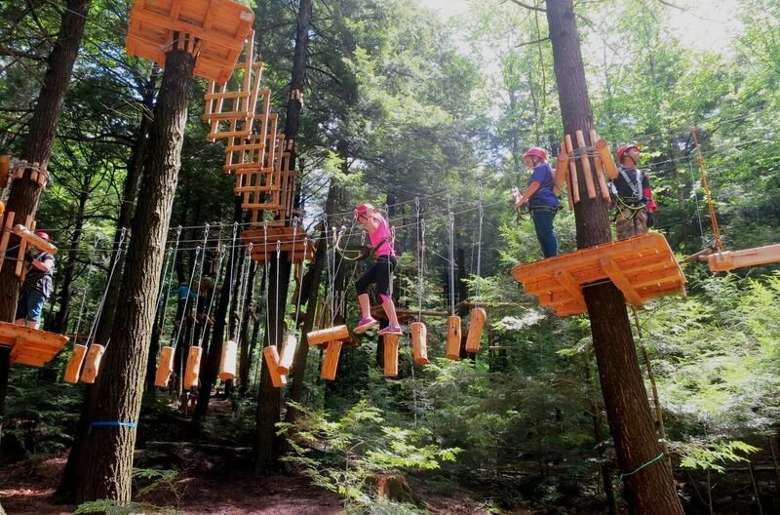 people traversing treetop obstacles