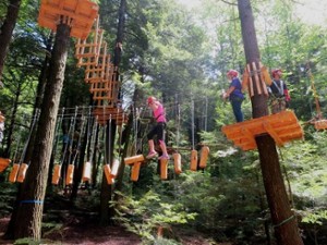 people traversing treetop obstacles