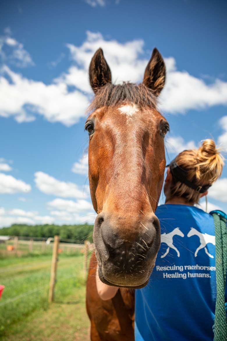 Therapeutic Horses of Saratoga, Inc. (3)