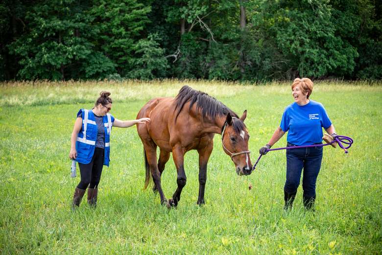 Therapeutic Horses of Saratoga, Inc. (2)