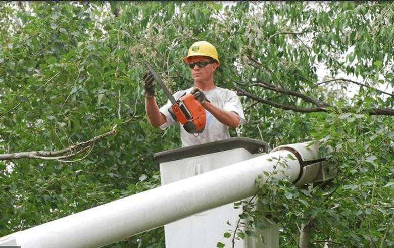 man with small chainsaw working on tree