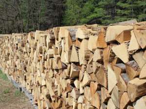 stacked firewood